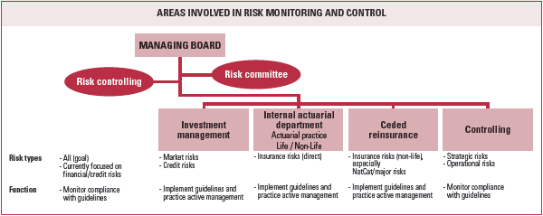 Areas involved in risk monitoring and control (graphic)