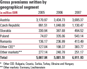 Gross premiums written by geographical segment (table)