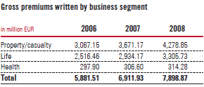 Gross premiums written by business segment (table)