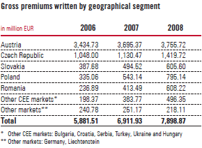 Gross premiums written by geographical segment (table)