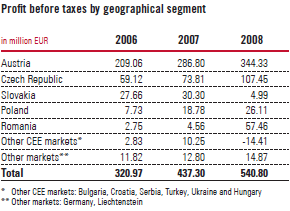 Profit before taxes by geographical segment (table)