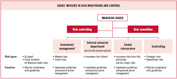 Areas involved in risk monitoring and control (graphic)
