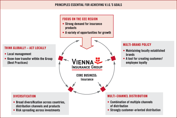 Principles essential for achieving V.I.G.'s goals (graphic)