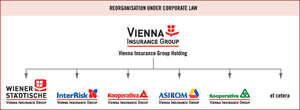 Reorganisation under corporate law (graphic)