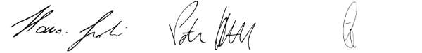 Signature Dr. Judit Havasi, Mag. Peter Höfinger, Erich Leiß (handwriting)