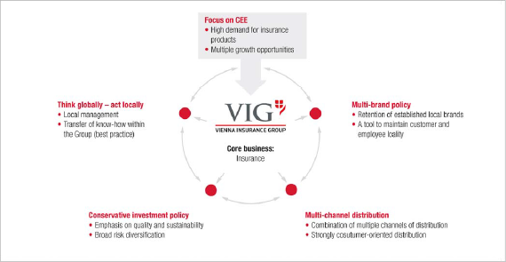 Main principles for achieving VIG’s goals (graphic)