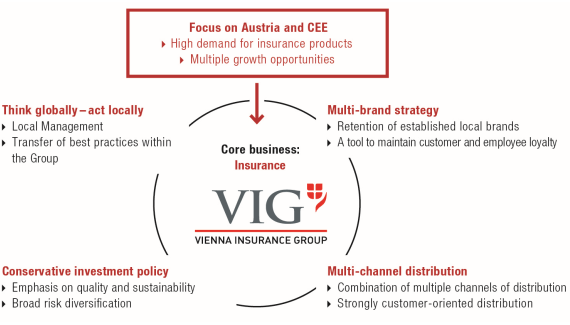 Main principles for achieving VIG’s goals (graphic)