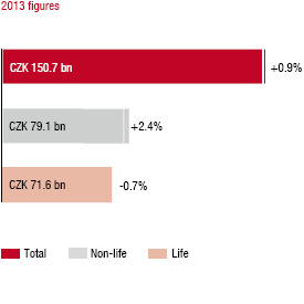 Market growth in 2013 compared to the previous year – Czech Republic (bar chart)